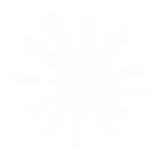 White starburst shape with multiple thick rays radiating from the center on a black background.